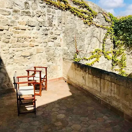 Belle Maison Historique Apartment